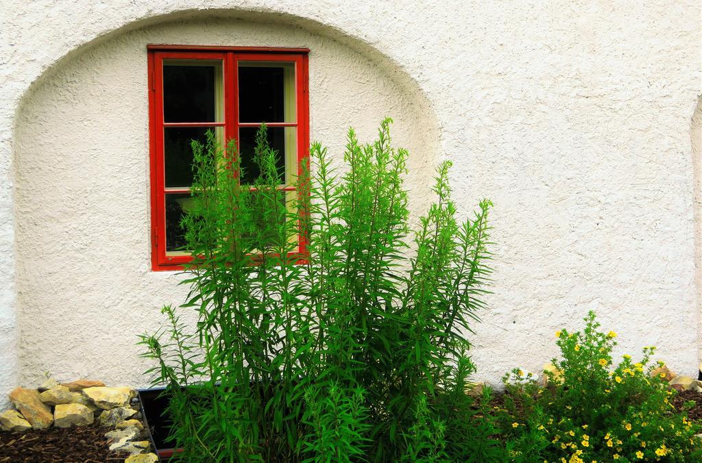 Garden Residence Prague Castle Bagian luar foto